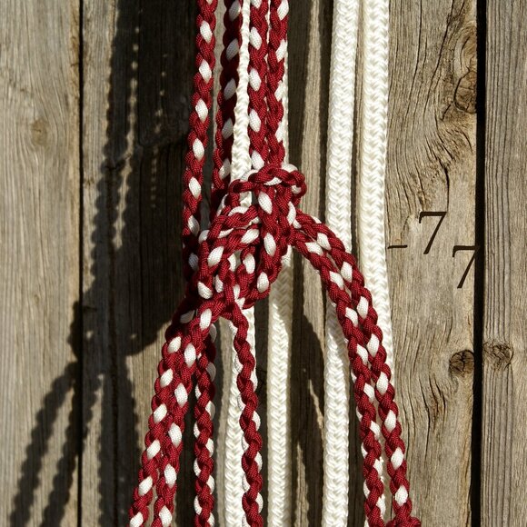Handmade Braided Paracord Horse Loping Halter Hackamore - Yacht Rope Split Reins - Picture 6 of 9
